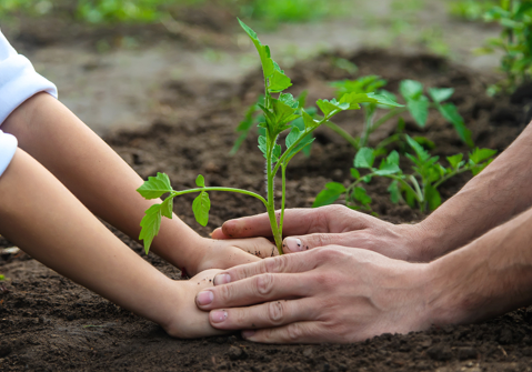 Plant kindness