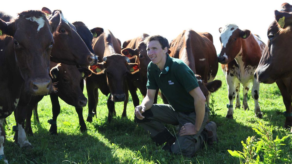 Video - meet four of our dedicated dairy farmers